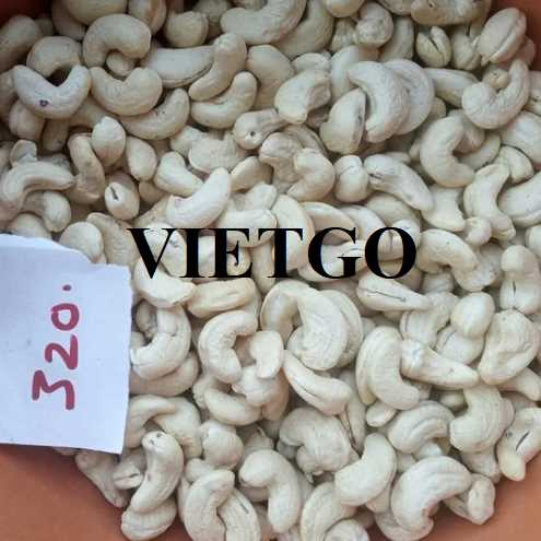 Cơ hội hợp tác xuất khẩu hạt điều đến thị trường Nepal    