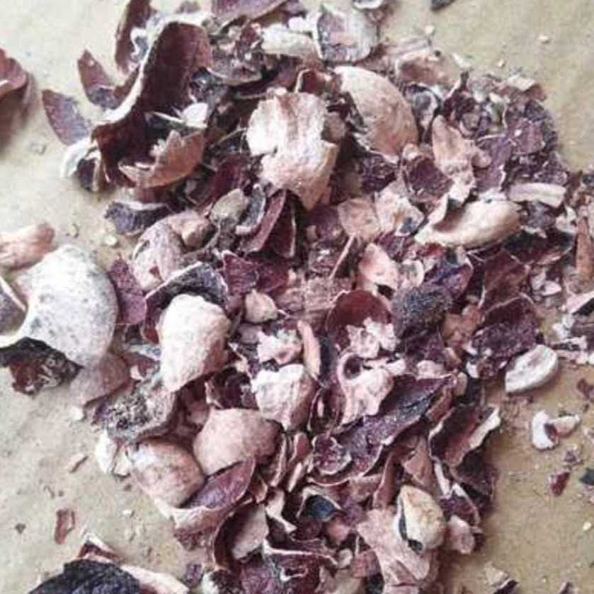 I want to buy cashew husk 