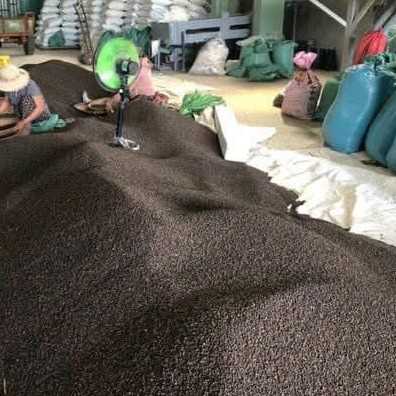 I want to buy black pepper