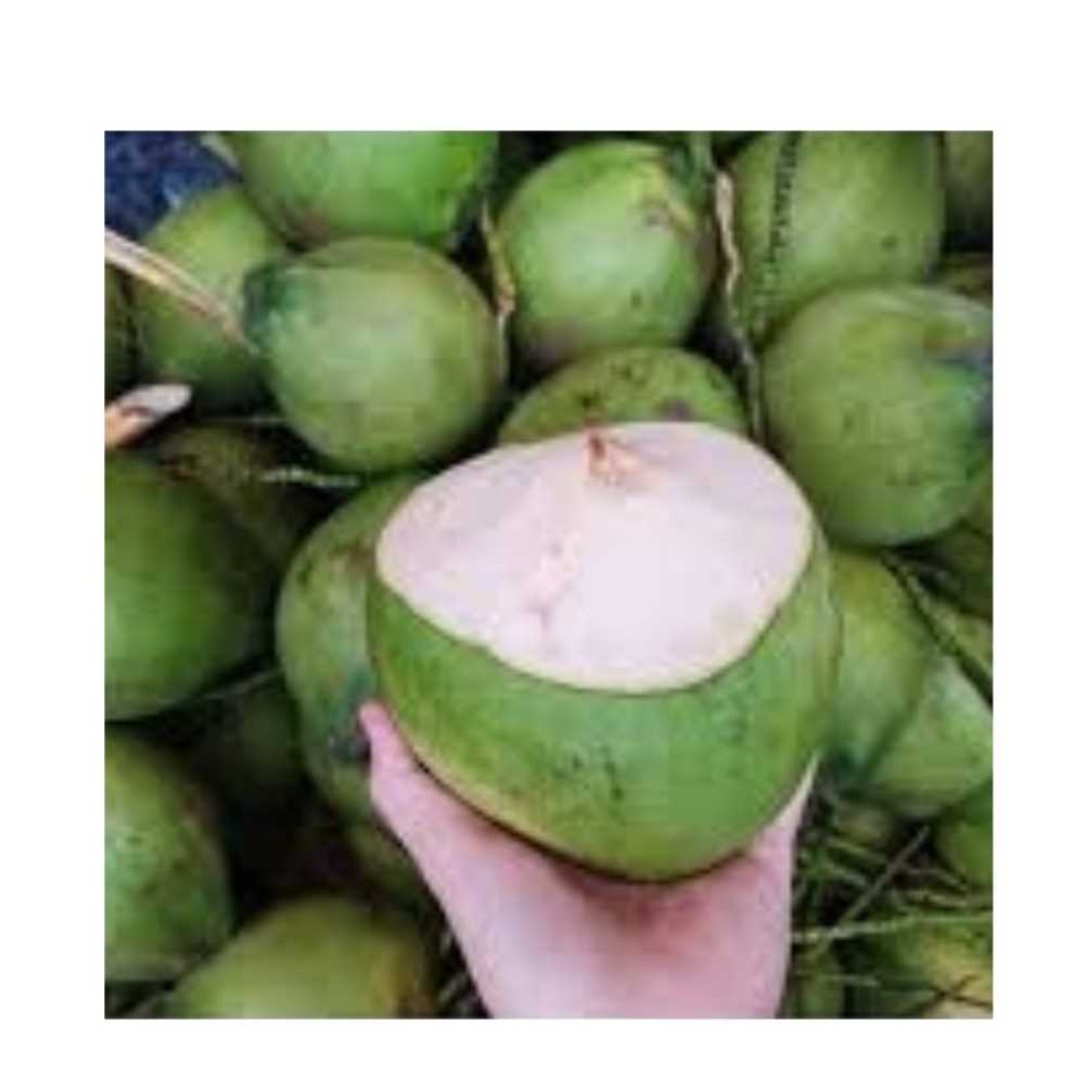I want to buy coconut