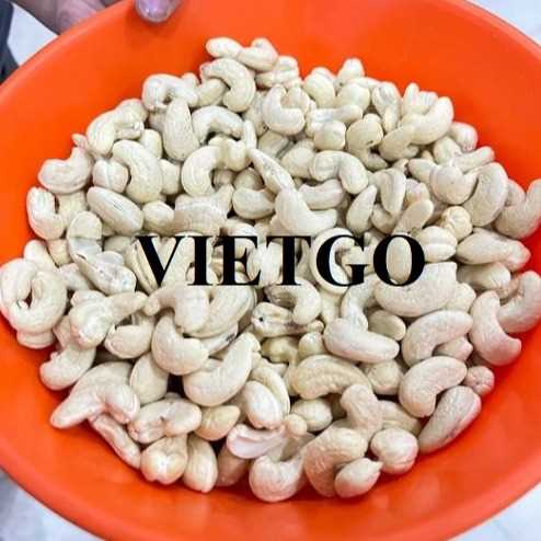 (Gấp) Cơ hội xuất khẩu hạt điều W240 sang thị trường Malaysia