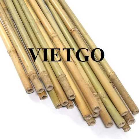 [Gấp] Đơn hàng xuất khẩu gậy tre sang thị trường Hàn Quốc