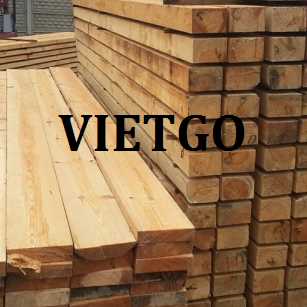 Thương vụ xuất khẩu gỗ keo xẻ đến thị trường Anh
