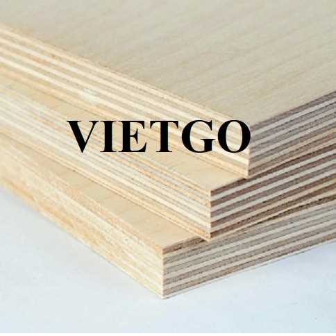 Thương vụ xuất khẩu gỗ dán LVL sang thị trường Nhật Bản  