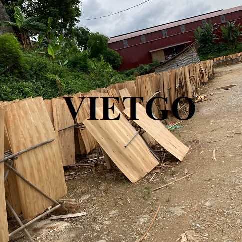 Thương vụ xuất khẩu sản phẩm ván bóc đến thị trường Ấn Độ