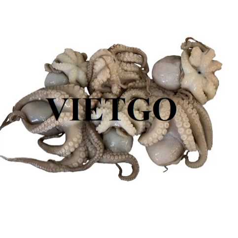Cơ hội xuất khẩu bạch tuộc sang thị trường Mexico