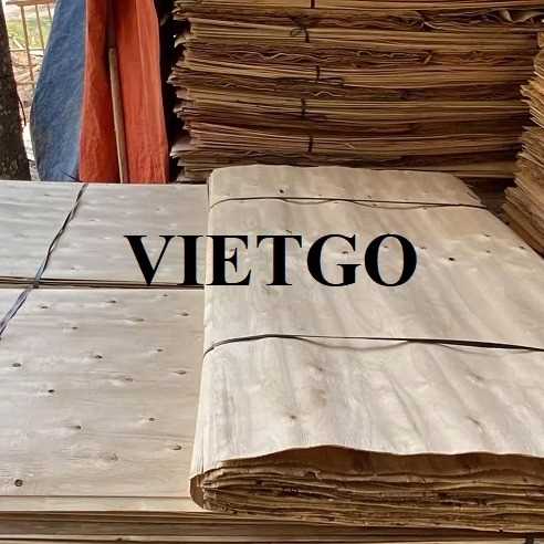 Thương vụ xuất khẩu ván bóc sang thị trường Ấn Độ
