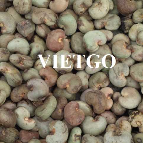 Cơ hội hợp tác xuất khẩu hạt điều đến thị trường Ấn Độ   