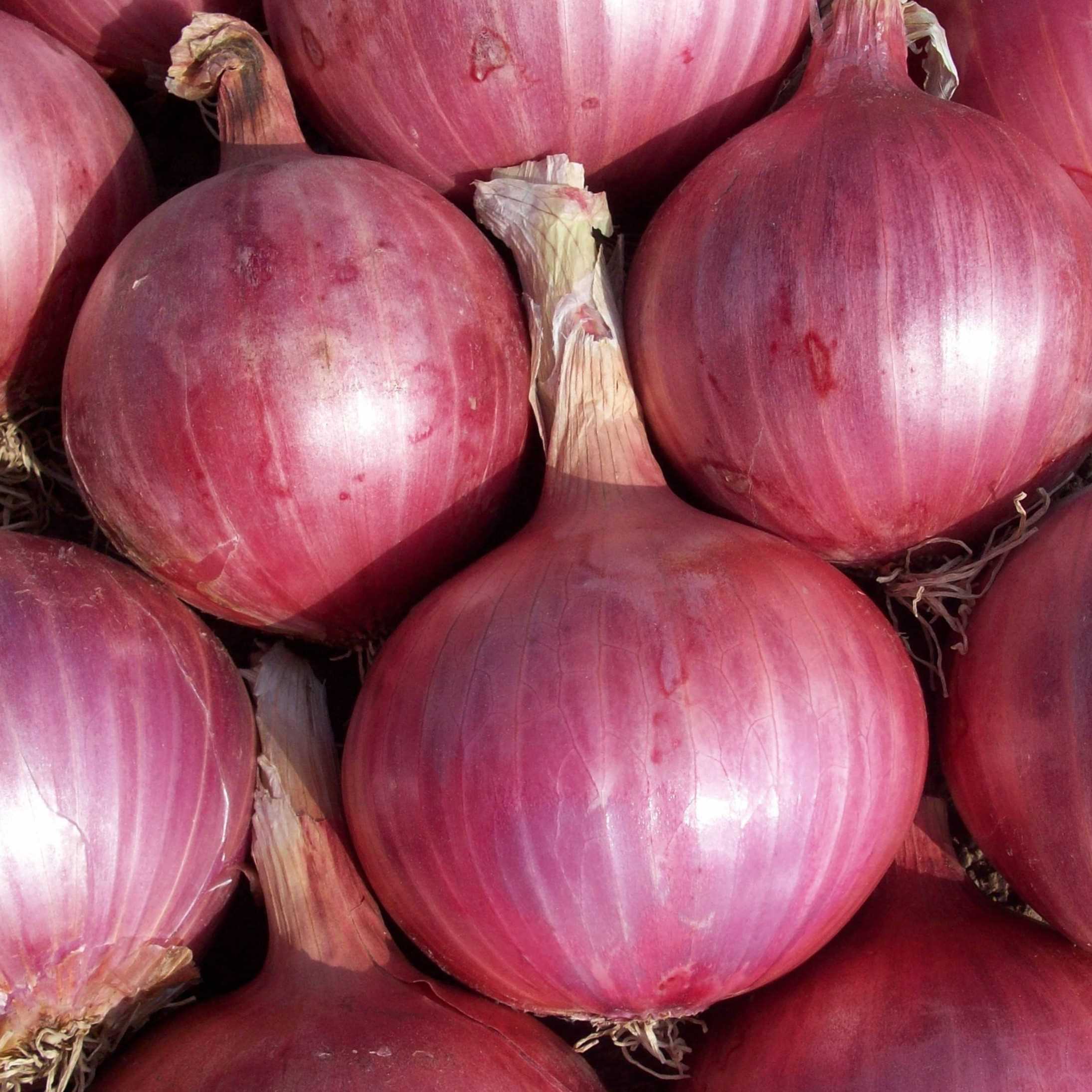 I want to buy onion