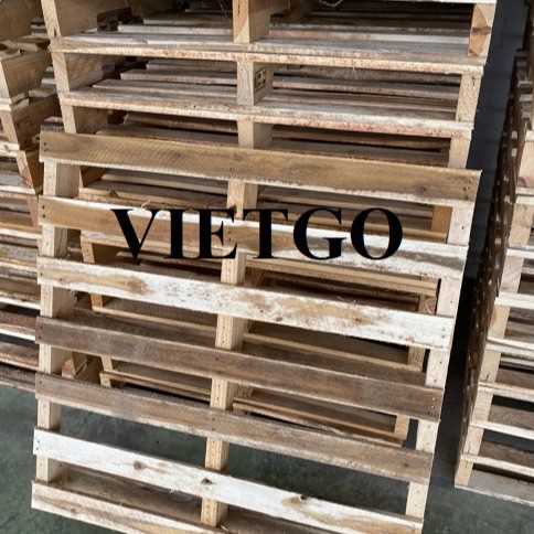 Thương vụ xuất khẩu sản phẩm pallet gỗ đến thị trường Ấn Độ