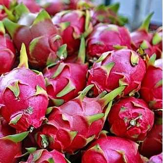 i need dragon fruit