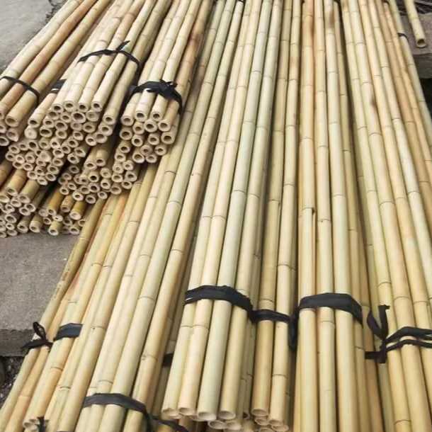 i need bamboo pole