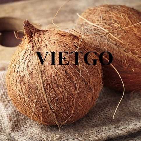Thương vụ hợp tác xuất khẩu dừa khô lột vỏ sang thị trường UAE