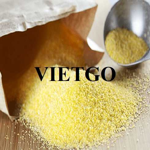 Cơ hội hợp tác xuất khẩu ngô sang thị trường Mỹ