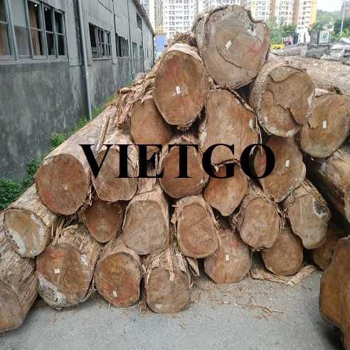 Thương vụ xuất khẩu gỗ teak tròn sang thị trường Ấn Độ 