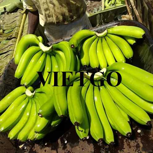 Cơ hội hợp tác xuất khẩu chuối đến thị trường Malaysia