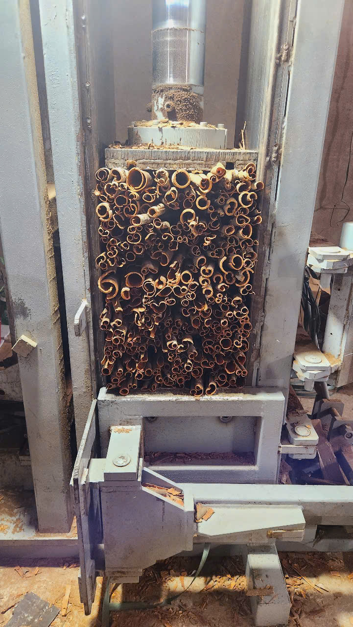 Pressed Cinnamon (Quế Ép)