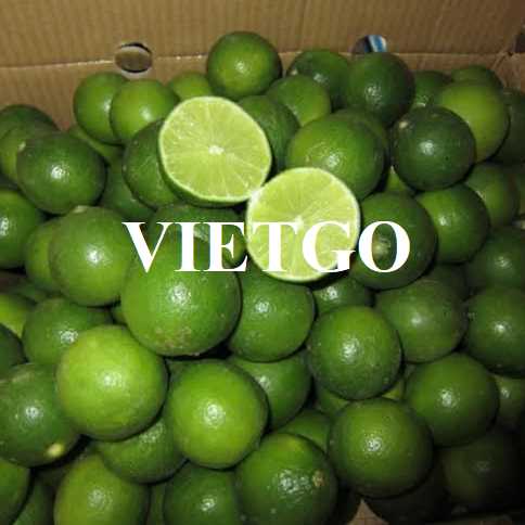 Cơ hội hợp tác xuất khẩu chanh đến thị trường Thổ Nhĩ Kỳ 