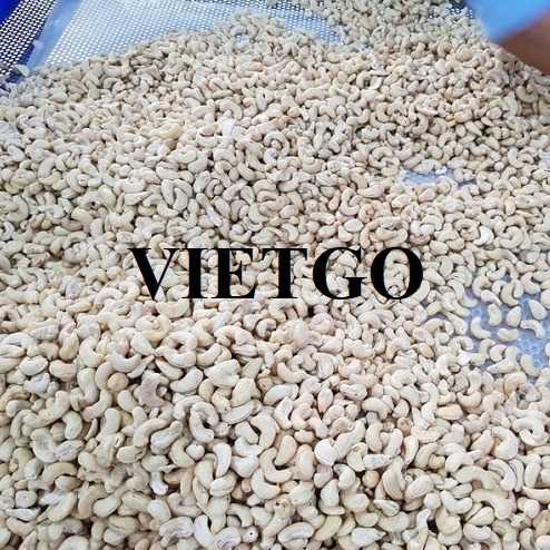Cơ hội xuất khẩu hạt điều sang thị trường Ai Cập
