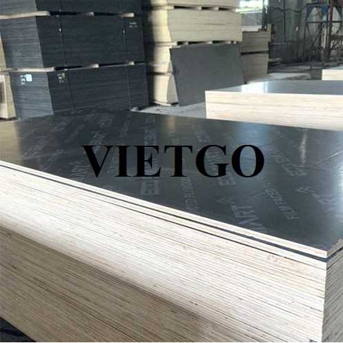 Thương vụ xuất khẩu sản phẩm gỗ dán phủ phim đến thị trường Qatar