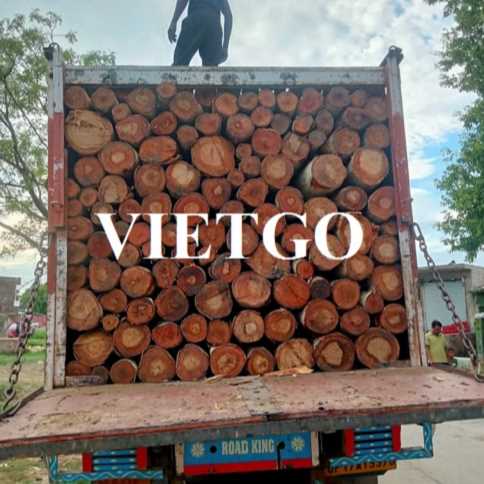 Thương vụ xuất khẩu gỗ bạch đàn tròn sang thị trường Ấn Độ 