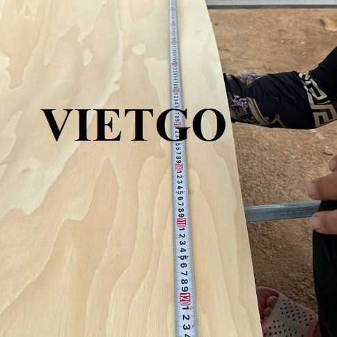 Cơ hội hợp tác xuất khẩu ván bóc cao su sang thị trường Ai Cập