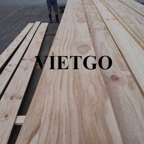 Cơ hội xuất khẩu gỗ thông xẻ sang thị trường Trung Quốc 