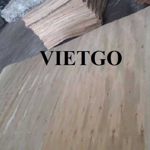 Thương vụ xuất khẩu ván bóc cao su sang thị trường Ấn Độ