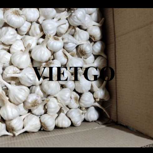 Cơ hội hợp tác xuất khẩu tỏi đến thị trường Úc 