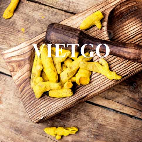 Cơ hội hợp tác xuất khẩu nghệ đến thị trường Ấn Độ    