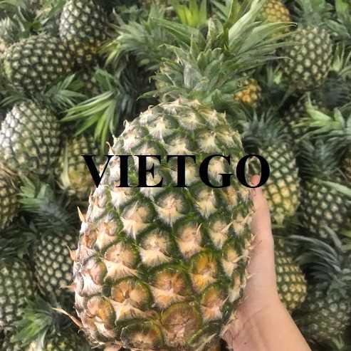 Cơ hội xuất khẩu dứa Queen và MD2 đến thị trường Bahrain 