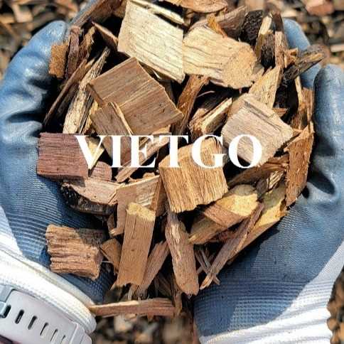Thương vụ xuất khẩu gỗ vụn đến thị trường Myanmar