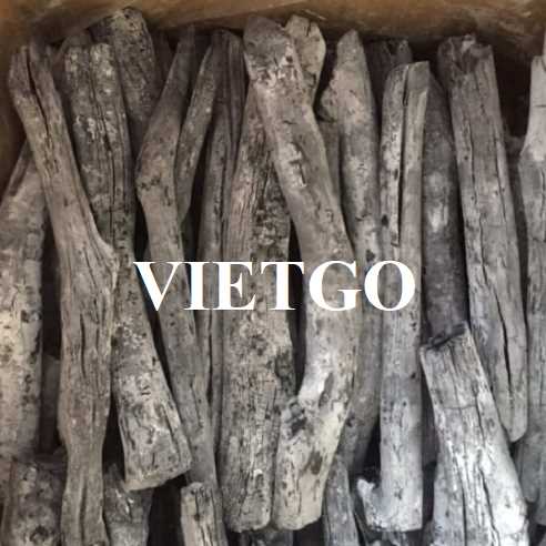 Thương vụ xuất khẩu than trắng sang thị trường Úc