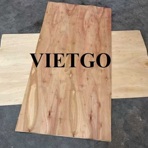 Thương vụ xuất khẩu ván bóc sang thị trường Ấn Độ