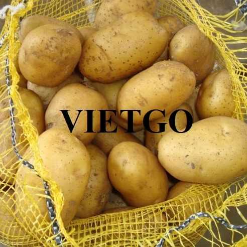 Cơ hội xuất khẩu khoai tây tới thị trường Qatar 