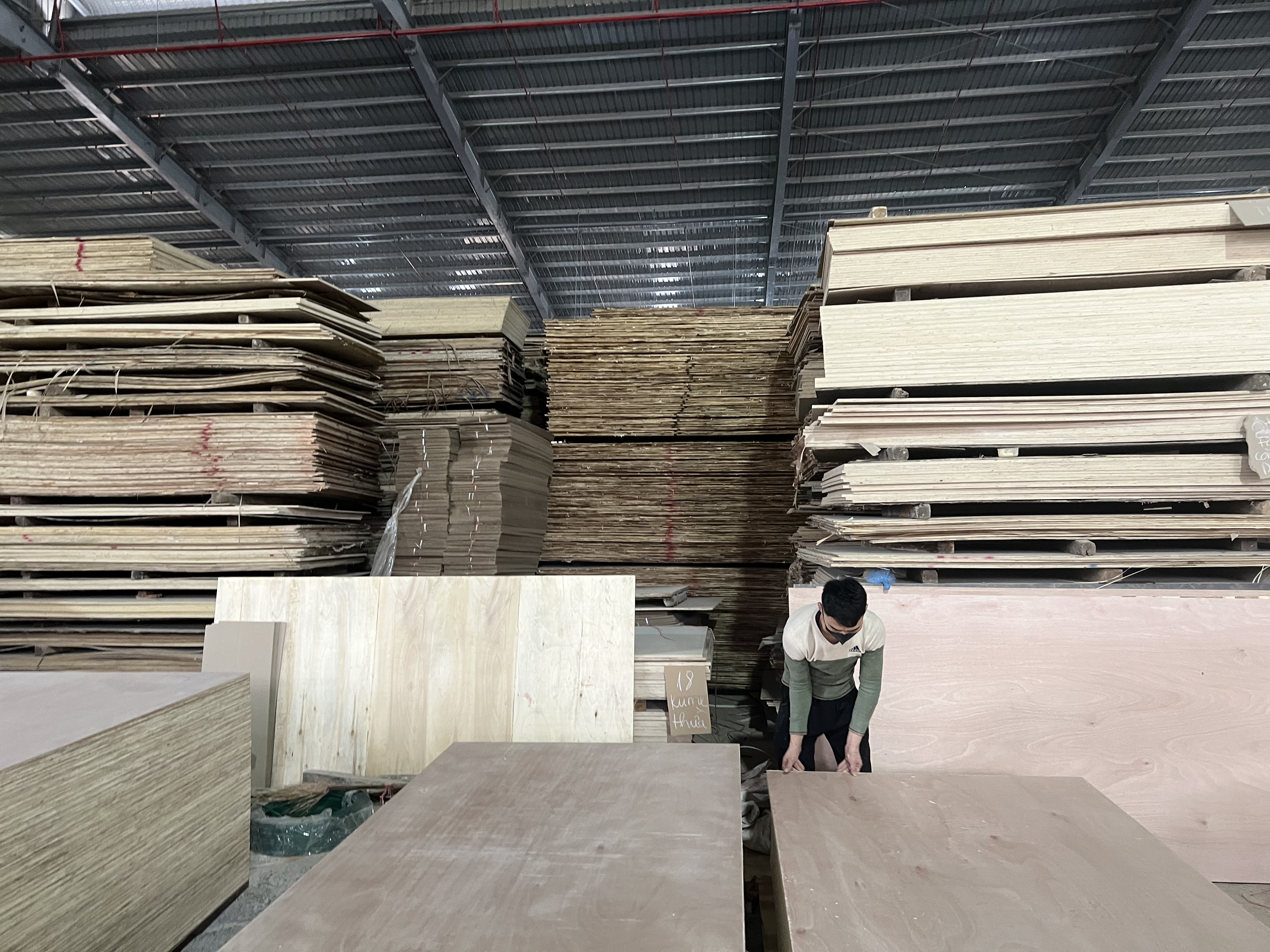 Cần tìm đơn vị vận tải vận chuyển hàng gỗ dán đi Litva