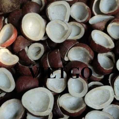Cơ hội xuất khẩu cùi dừa cùng vị khách người Iran