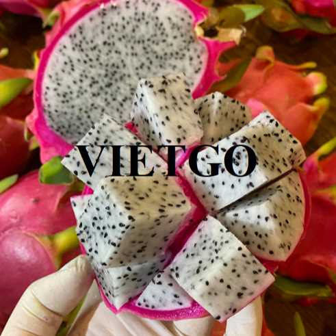 Cơ hội hợp tác xuất khẩu thanh long đến thị trường Bồ Đào Nha
