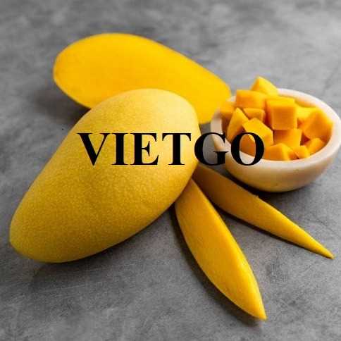 Thương vụ hợp tác xuất khẩu xoài tượng sang thị trường Hàn Quốc 