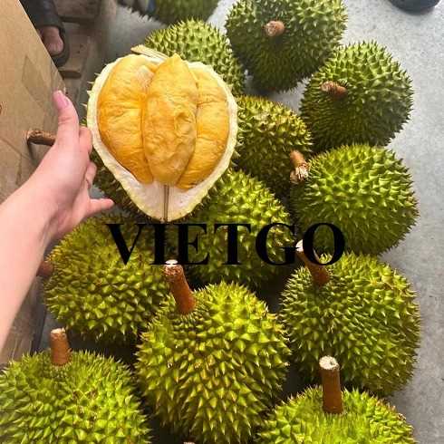 Cơ hội hợp tác xuất khẩu sầu riêng ri6 sang thị trường Singapore