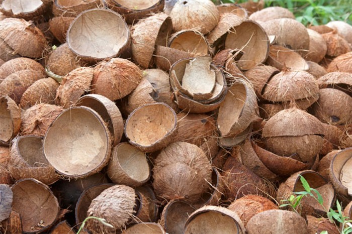 Cần tìm nhà cung cấp gáo dừa cho đơn hàng xuất khẩu