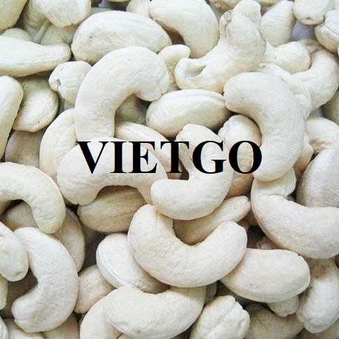 Cơ hội hợp tác xuất khẩu hạt điều đến thị trường Ấn Độ