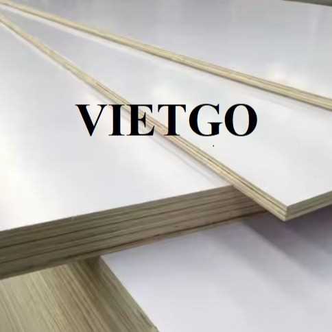 Thương vụ xuất khẩu gỗ dán phủ Melamine sang thị trường Malaysia
