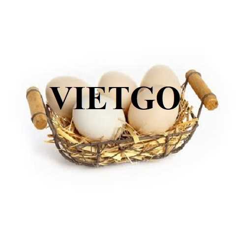 Cơ hội xuất khẩu trứng gà trắng sang Hoa Kỳ