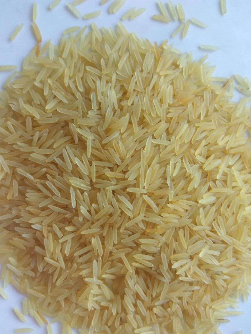 Cần tìm đơn vị vận tải báo giá vận chuyển mặt hàng gạo đến cảng Cotonou Benin