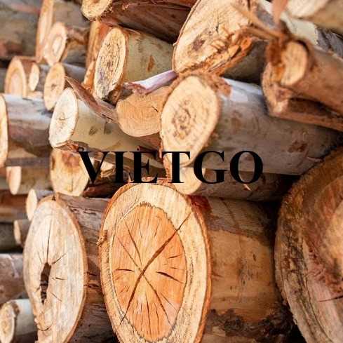 Thương vụ xuất khẩu gỗ bạch đàn tròn sang thị trường UAE