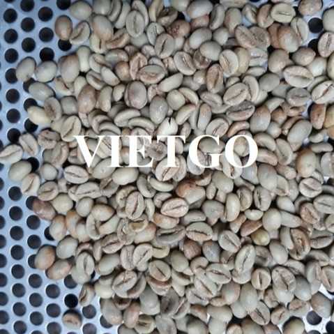  Cơ hội xuất khẩu cà phê xanh Robusta sang thị trường Hungary