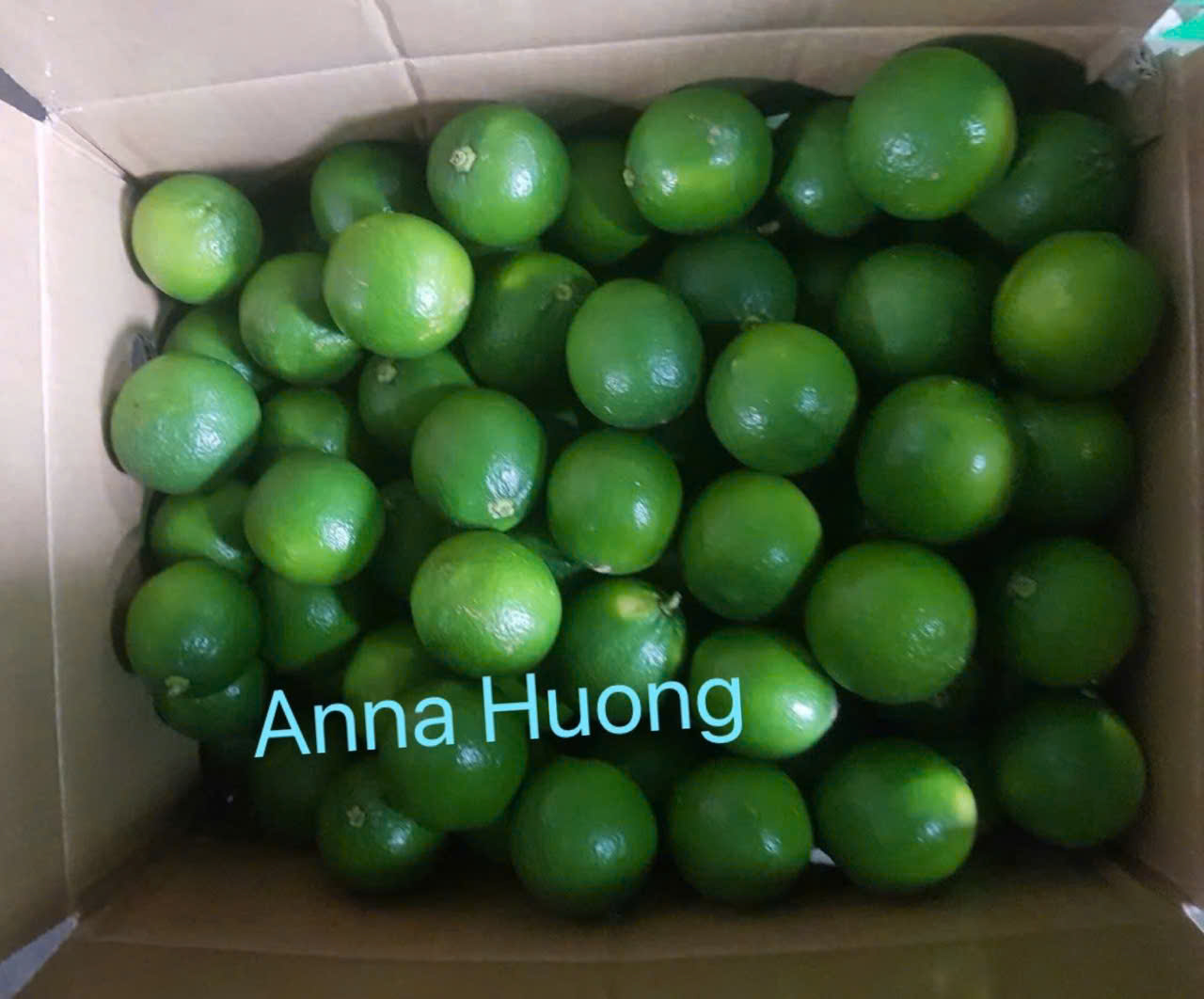 Cần tìm FWD báo giá cước vận tải hàng chanh