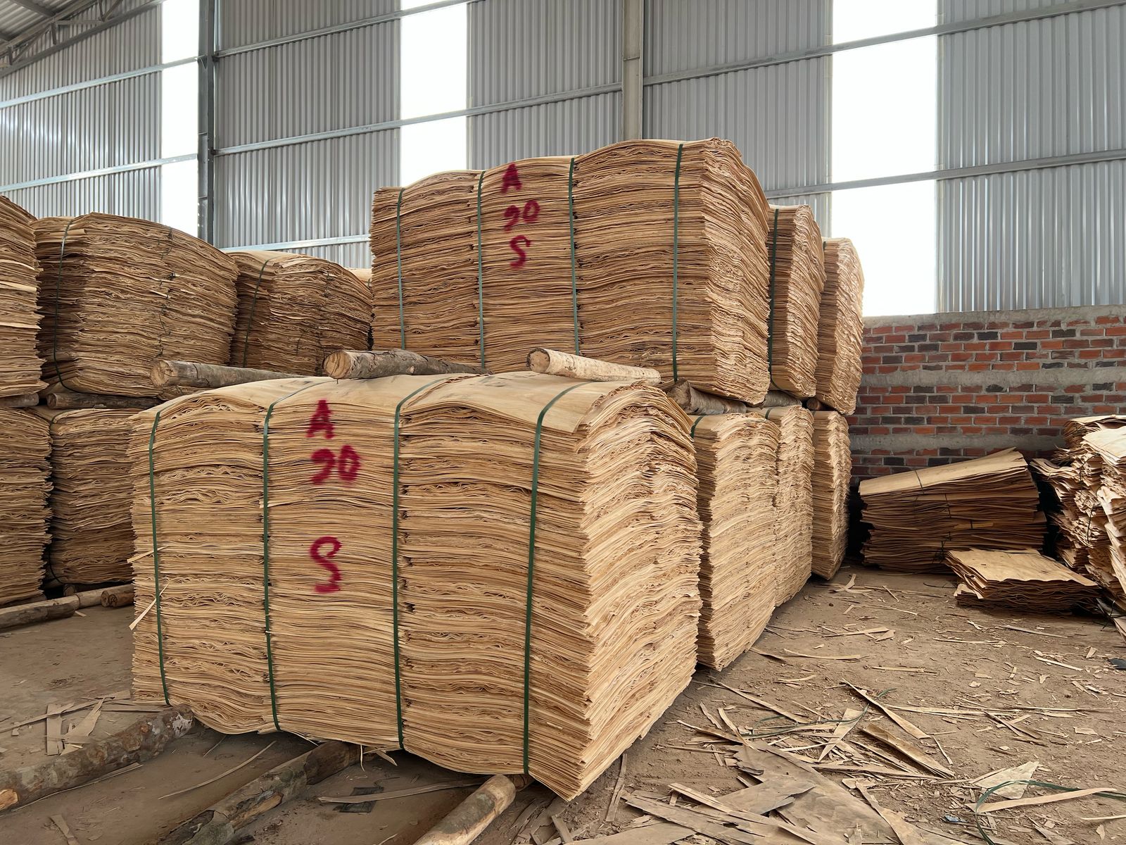 Cần tìm FWD báo giá cước vận tải hàng ván bóc đi Ấn Độ