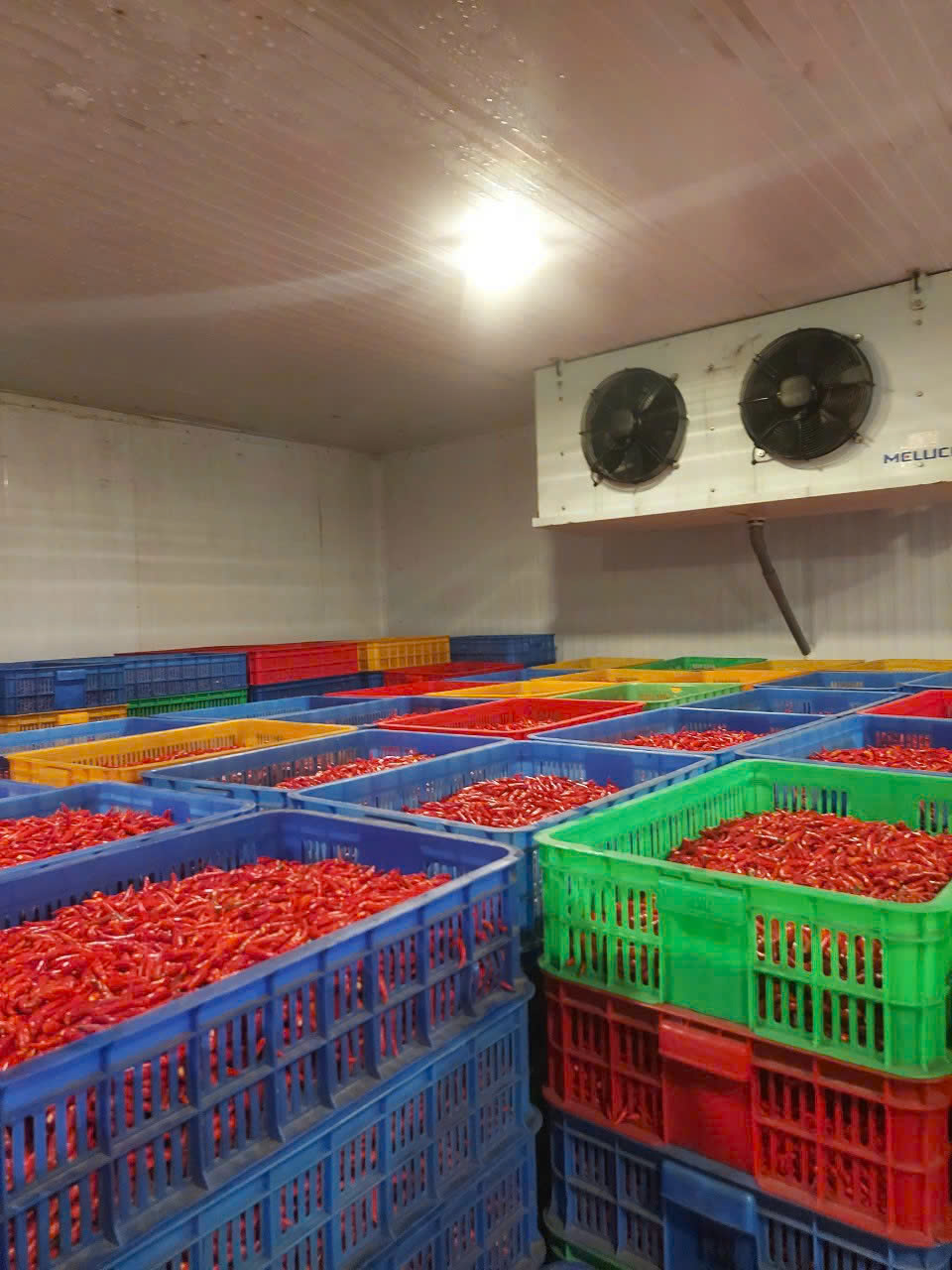 Cần tìm cước biển cho hàng ớt đến Nhava Seva, Ấn Độ